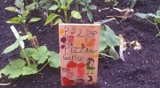 Battery Park City Pizza Garden PS 276