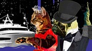 Friends of Animal Rescue cruise
