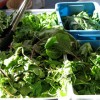 Greenmarket coming to BPC