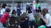 P.S. 276 plants their pizza garden (bpcschool.org)