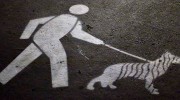 battery-park-city-dog-leash-law