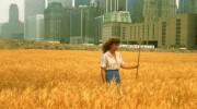 Battery Park City Agnes Denes Fields of Wheat 1982