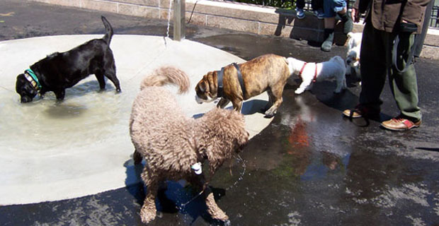 Battery Park City Annual Pet Parade